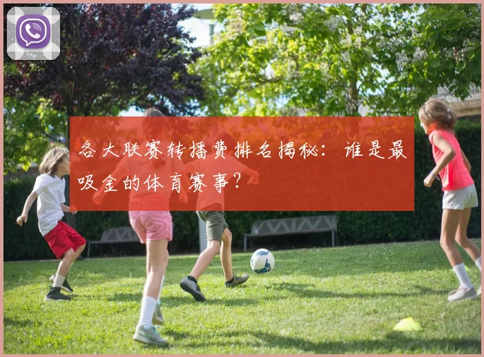 各大联赛转播费排名揭秘：谁是最吸金的体育赛事？