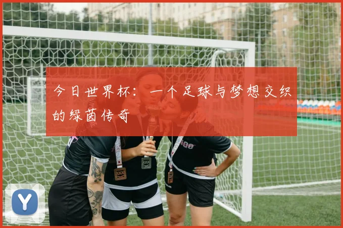 今日世界杯：一个足球与梦想交织的绿茵传奇