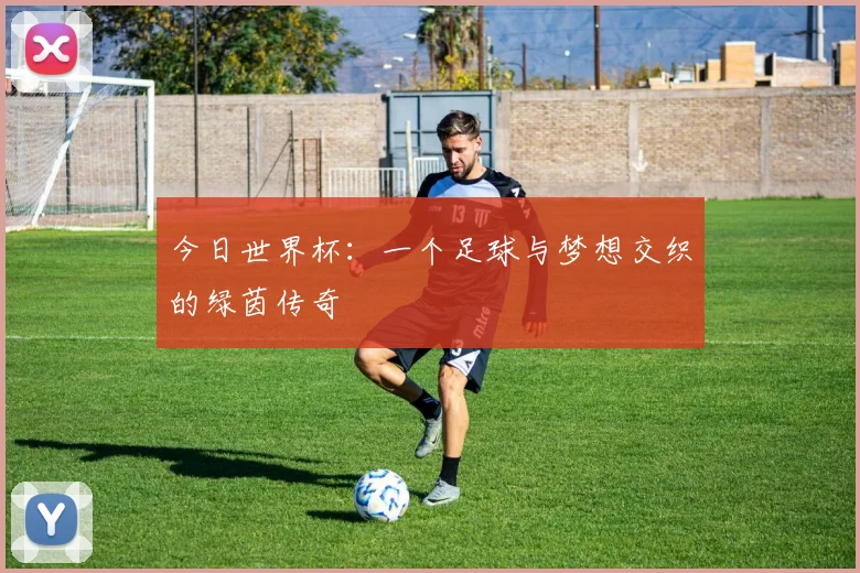 今日世界杯：一个足球与梦想交织的绿茵传奇