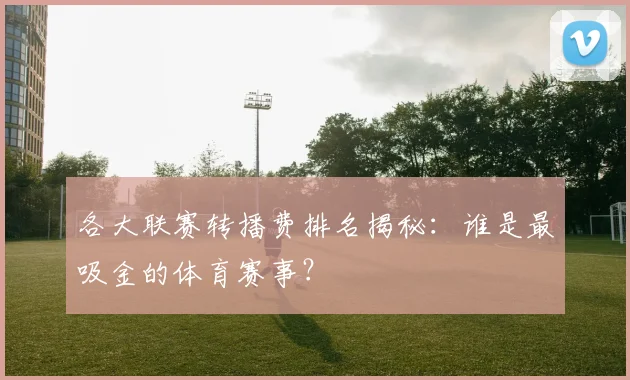 各大联赛转播费排名揭秘：谁是最吸金的体育赛事？